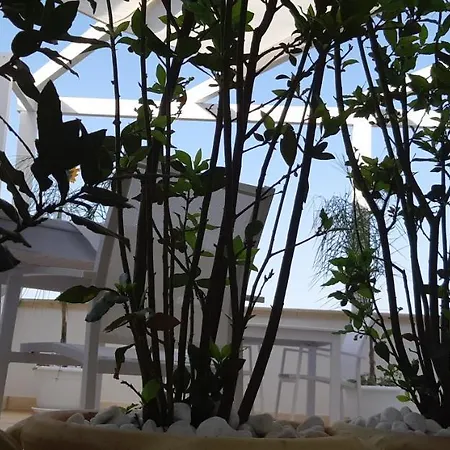 Alojamento de Acomodação e Pequeno-almoço Dimora Terranostra&spa Ugento